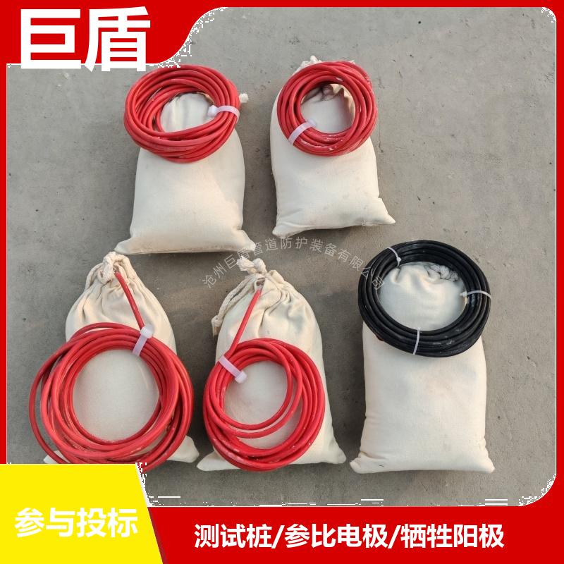 带填包料长效硫酸铜参比电极 埋地型 输气管道用 带电缆 测量准确 巨盾