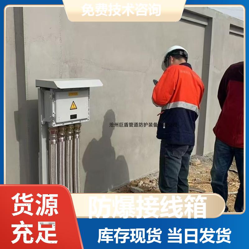 108*4*2000 远传远控 镁阳极 阴极保护装置防爆测试桩 运行稳定 巨盾