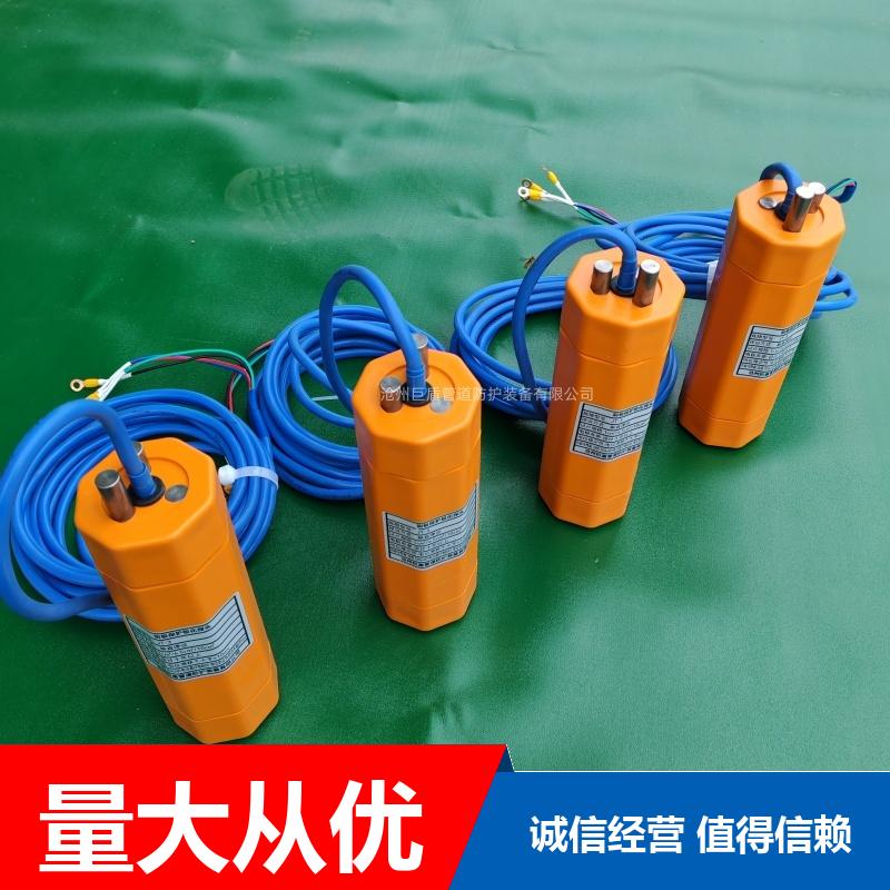 埋地型 长效型极化探头 阴极保护 石油管道 测量准确 免费安装指导