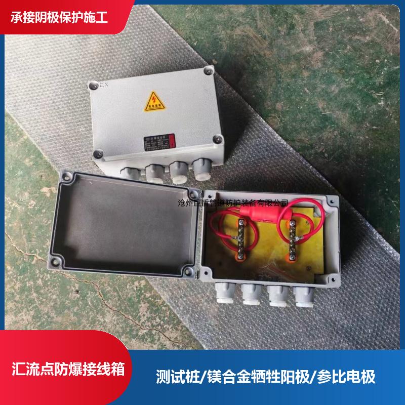 阴极保护测试桩防爆接线箱 远传远控 108*4*3000 镁阳极 运行稳定 巨盾