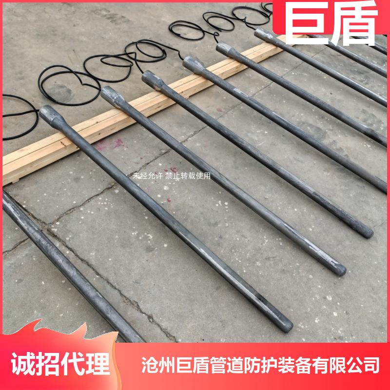 智能恒电位仪 防爆接线箱深井阳极 带电缆 219*2000mm 自腐蚀低 巨盾