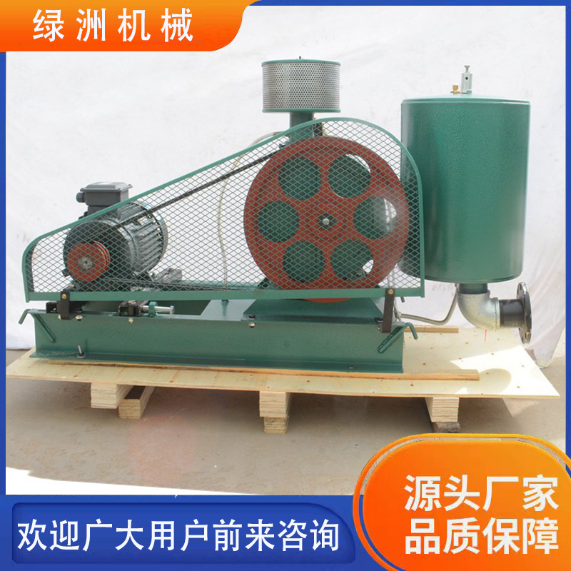 Supply of Air Source for Xinoasis Food Packaging Blow Air Small Sewage Treatment Project Aeration Rotary Fan