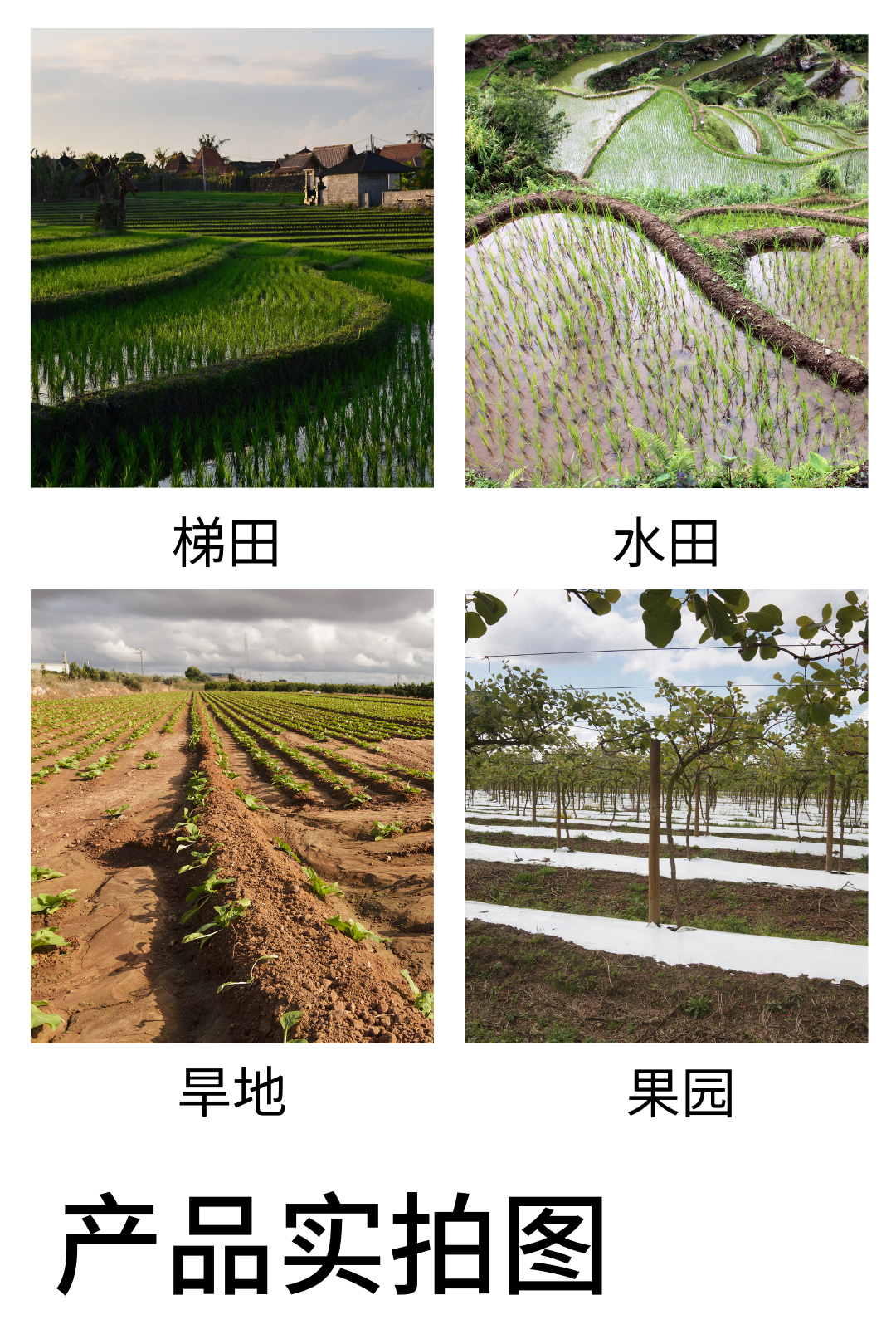 Single sided ridge building machine for paddy field terraces, farmland ridge building machine, tractor with ridge repair machine