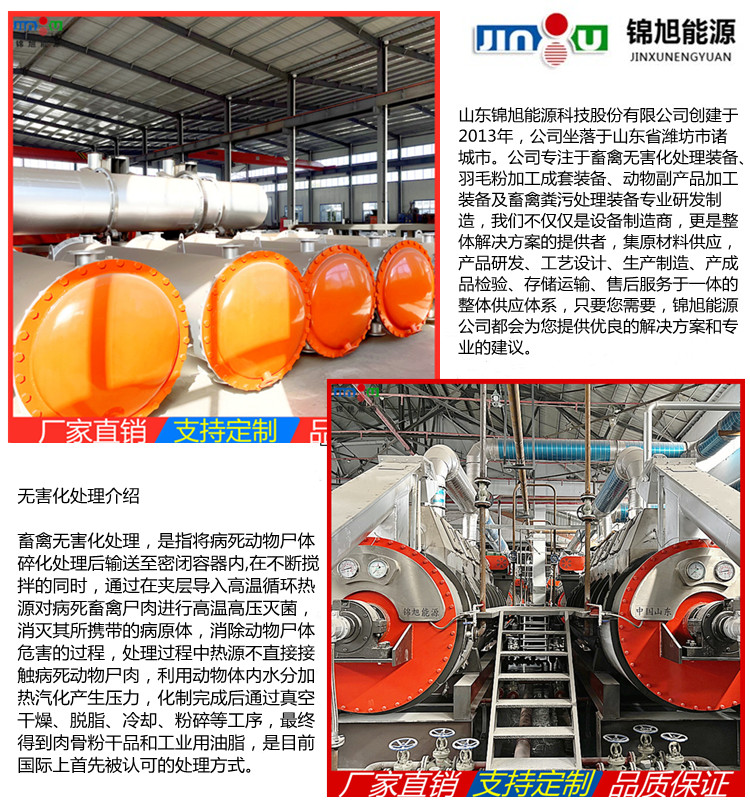 Jinxu harmless treatment equipment for sick and dead livestock and poultry Meat and bone meal production line feather meal drying equipment