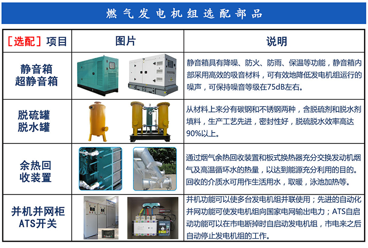 Blue light 100 kW biogas generator set, 100 kW natural gas generator, pure copper motor