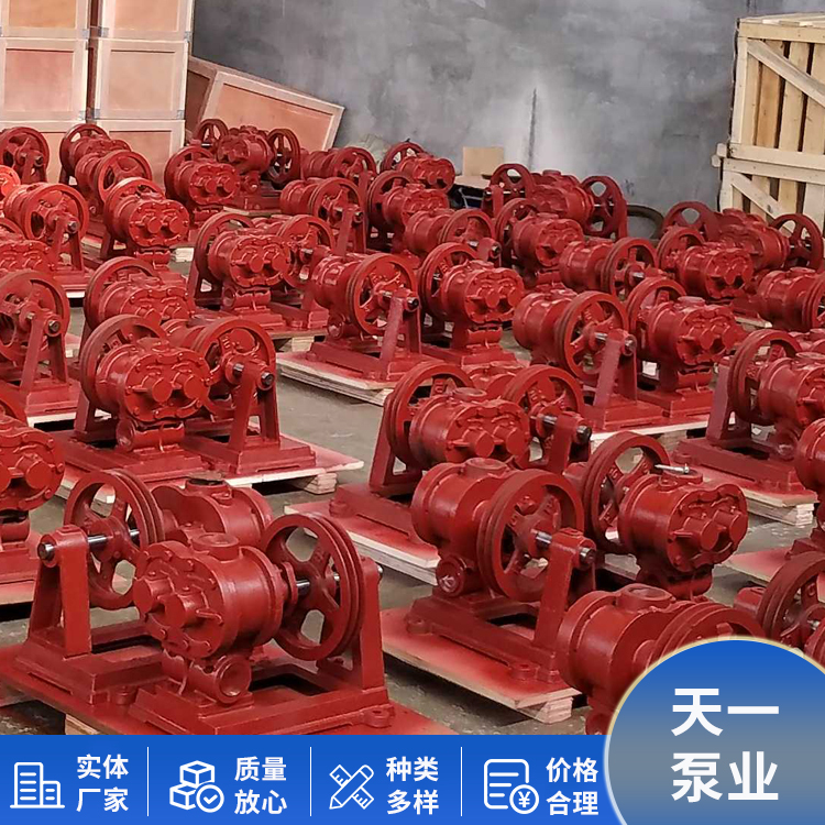 Rotary pump 50H rotary oil pump is suitable for conveying media, and the concave and convex wheels can be customized for Tianyi Pump Industry