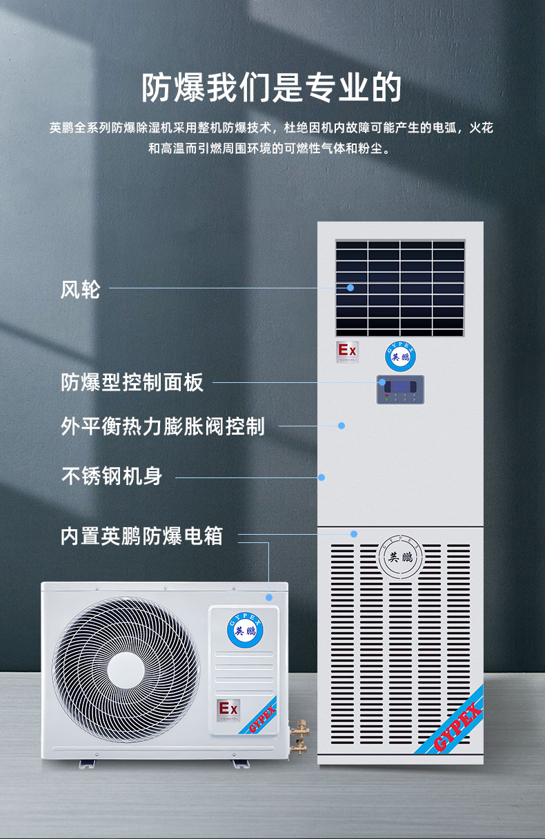 Yingpeng Explosion proof Cooling Dehumidifier Industrial Laboratory Dehumidifier BCF-06CJ (G) Dehumidifying capacity 6kg/h 220V