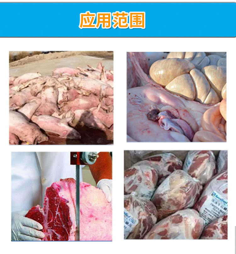 Jinxu Energy Large Complete Set of Harmless Treatment Equipment for Sick and Dead Livestock and Poultry Waste from Slaughterhouse Processing Machine