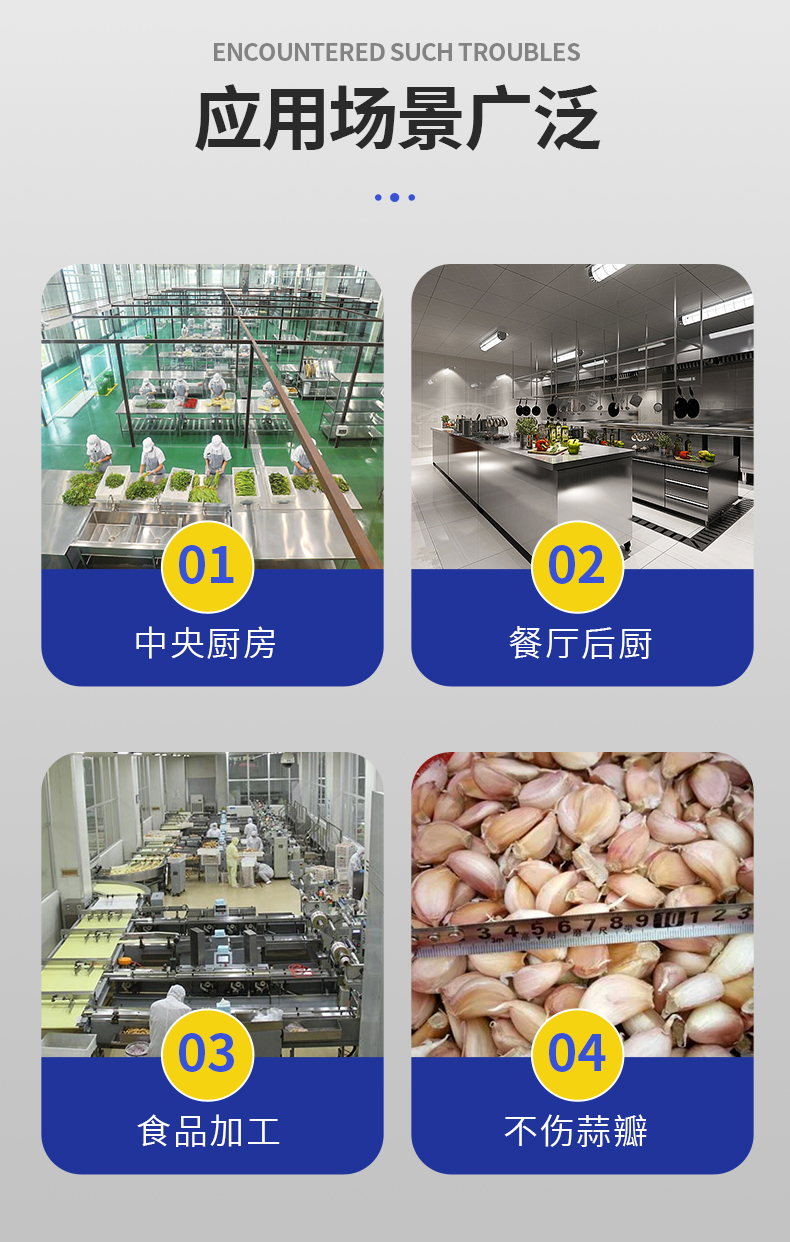 Garlic processing equipment is undamaged. Garlic splitting machine is time-saving and labor-saving. Stainless steel manufacturing