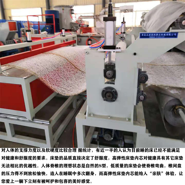 POE/EVA Polymer Mattress Equipment PE Sheet Production Line Newly Produced by Zhongnuo