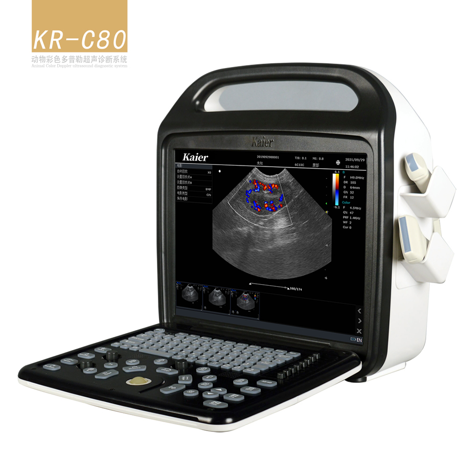 Kaier Pet Ultrasound Manufacturer Portable Equipment Animal B-ultrasound Machine Doppler Color B-ultrasound Machine