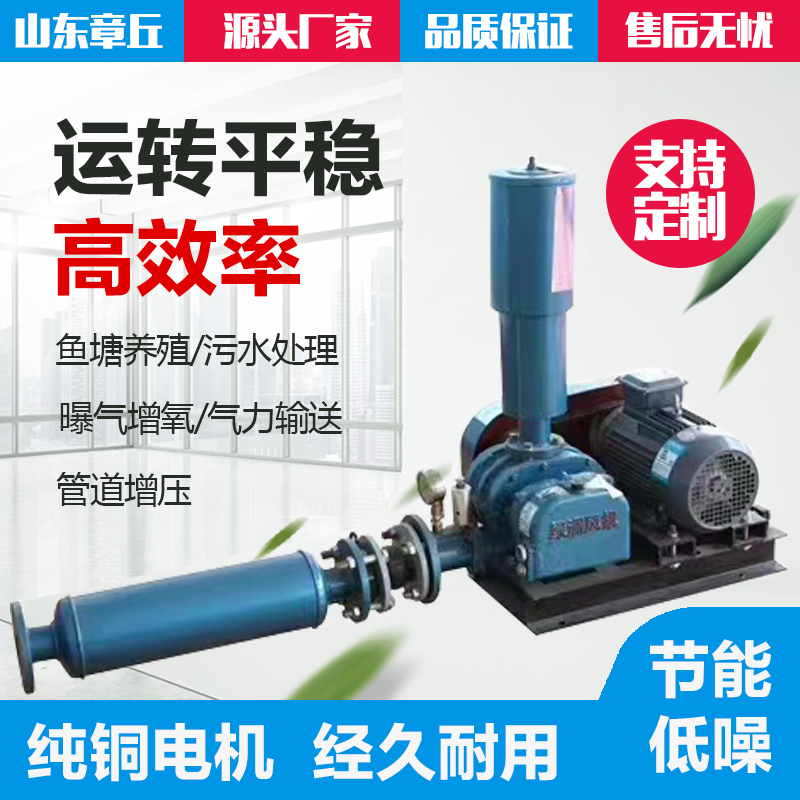 Roots blower for powder conveying (cement, feed, small flakes)