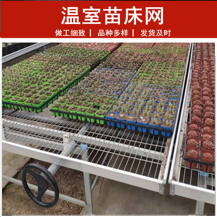 Tailong Flower Seedling Cultivation, Flower Rack Network, Medicinal Material Planting, Corrosion Resistant Seedling Bed Network, Vegetable Galvanized Planting Net Bed Customization