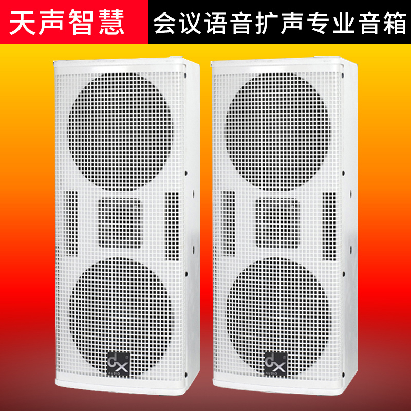 Tiansheng Smart Professional Amplification Full Frequency Speaker TS-568H Full Range Speaker High Power Audio