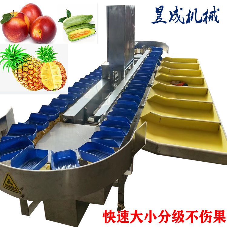 Yucheng betel nut automatic sorting machine sea cucumber traditional Chinese medicine weight grading accuracy high speed pear pomegranate fruit sorting machine