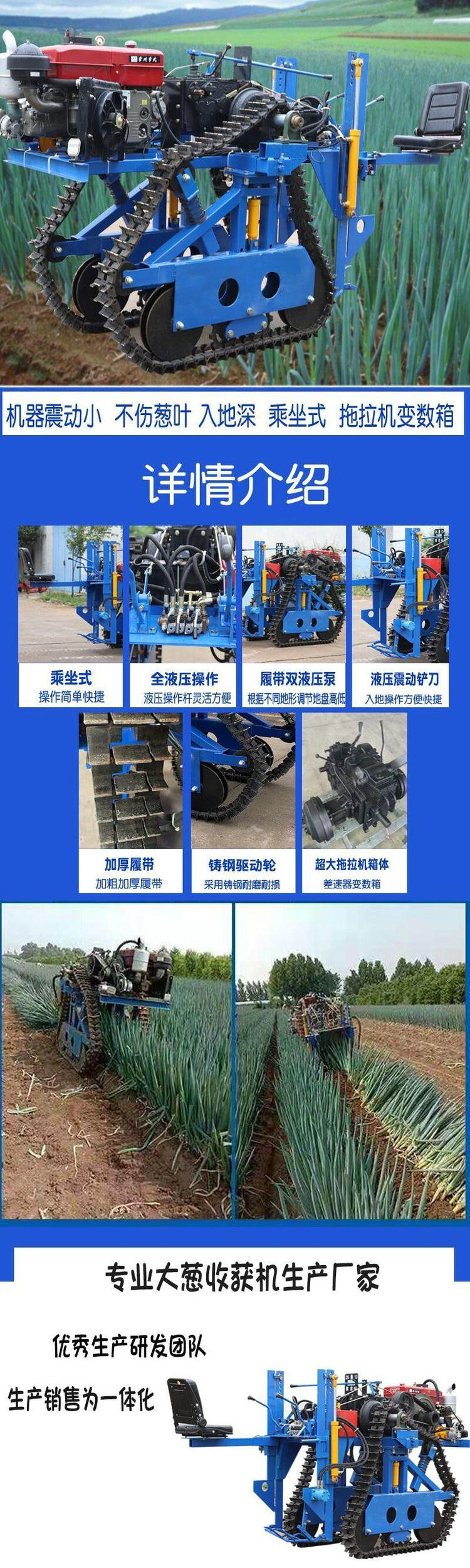 Fully hydraulic operated walking track type vegetable harvesting machine for picking and digging scallions and ginger, and for harvesting large scallions and ginger