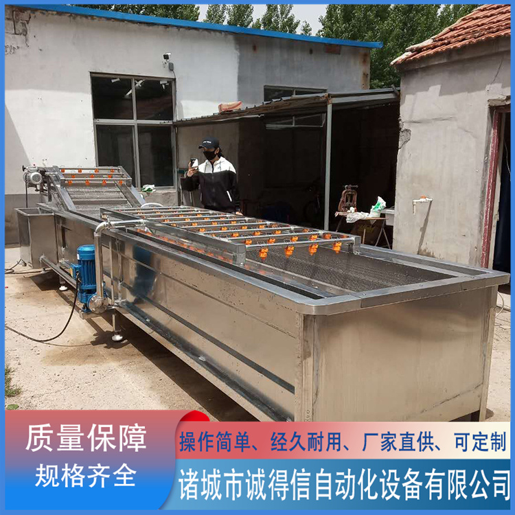 Fully automatic bubble cleaning machine, central kitchen vegetable cleaning equipment, carrot cleaning and processing equipment