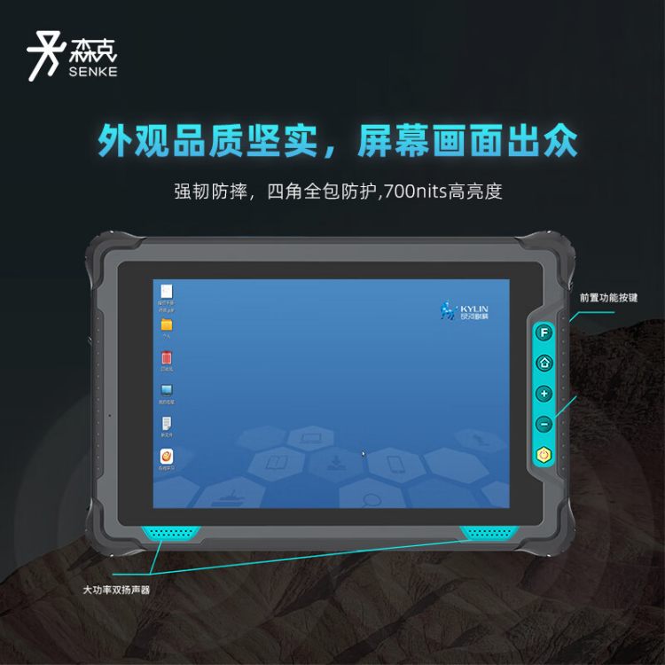 结构示意图