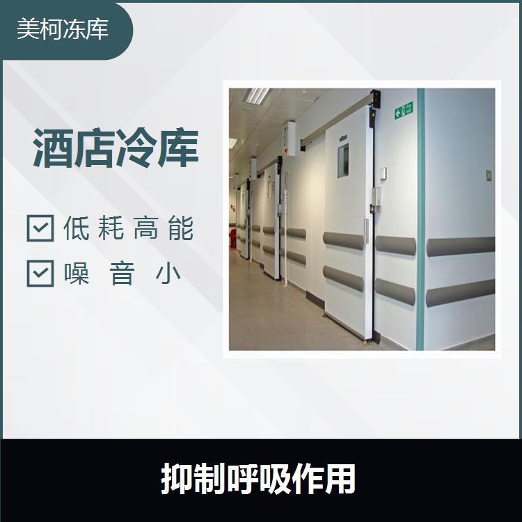 Deyang Freezing Storage Installation with High Automation Degree and Excellent Insulation and Sealing Effect ZB-95KQ