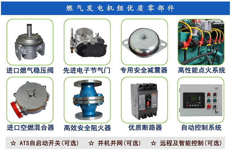 120 kW biogas generator set, sewage treatment plant, aquaculture, 120 kW natural gas generator, pure copper motor