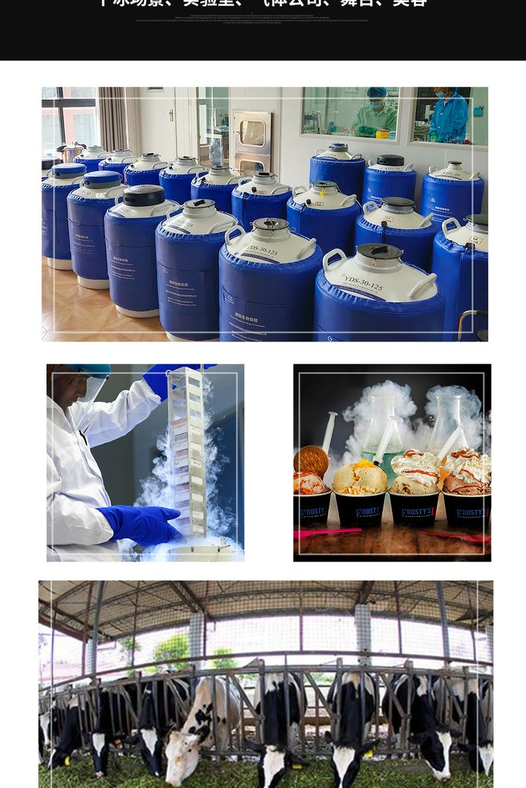 YDS model low-temperature 10 liter liquid nitrogen tank for metal cold treatment of Tianchi biological containers