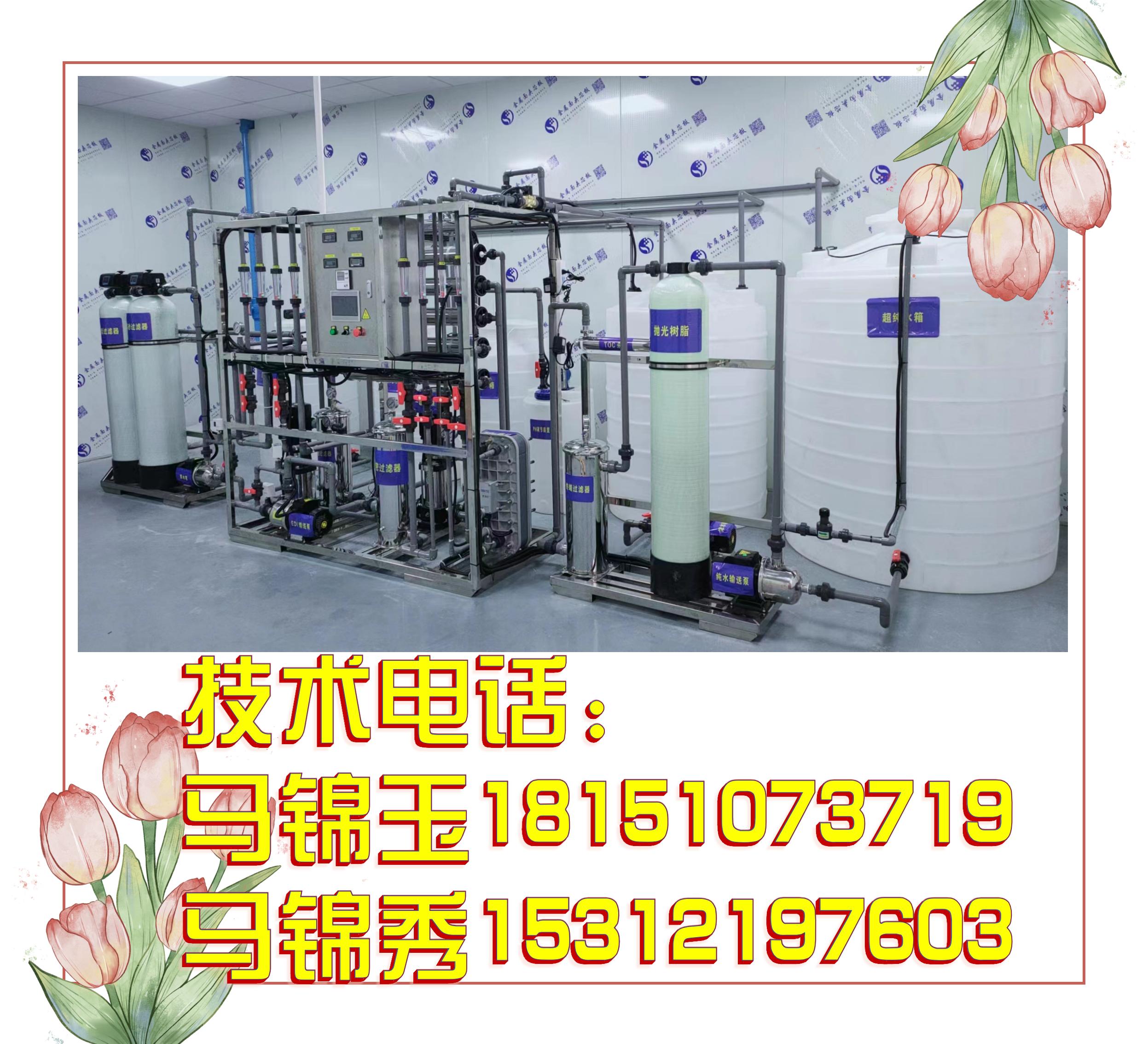 0.5 ton electronic Ultrapure water equipment EDI module Ultrapure water machine manufacturer customized nationwide delivery