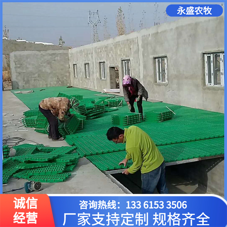 Livestock Lake Sheep Leakage Board Plastic Sheep Bed Board Sheep Leakage Floor Sheep Foot Mat Factory Delivery