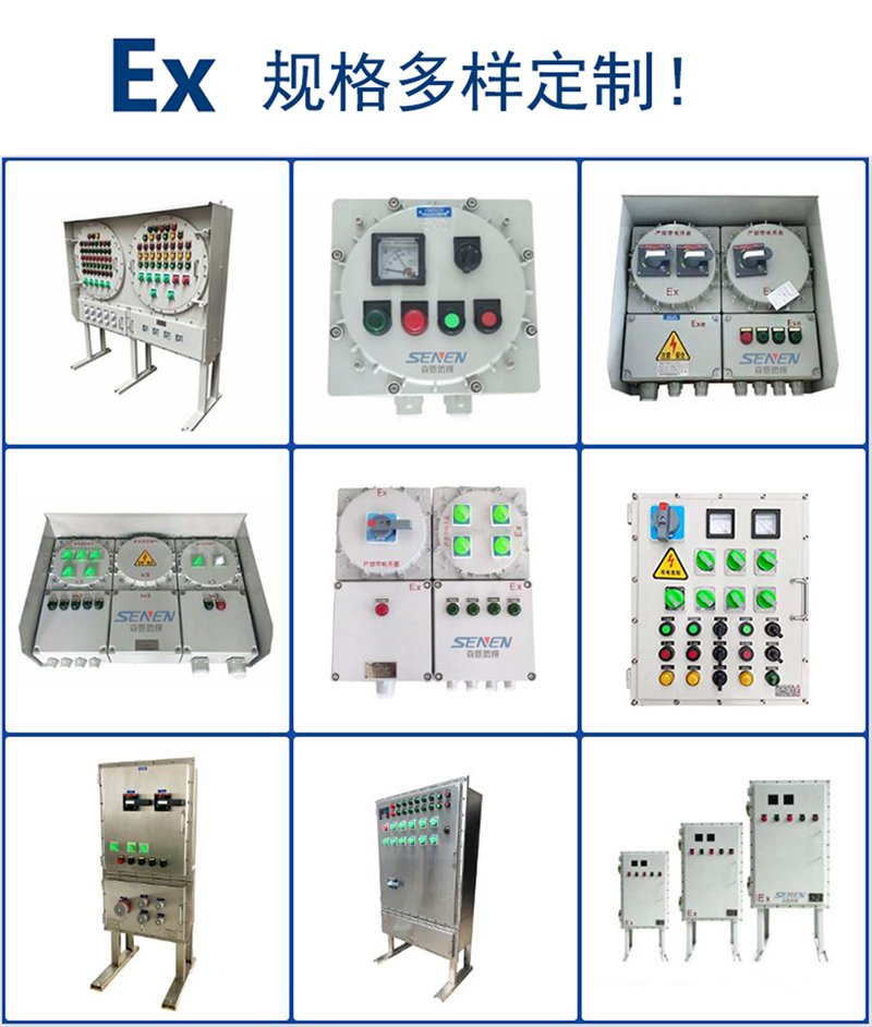 BXK58-T explosion-proof control box vertical multi circuit industrial electric heating control cabinet BXK maintenance socket box