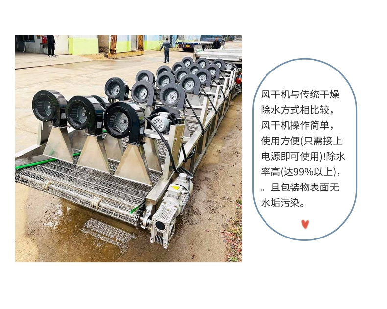 Fully automatic flipping air drying equipment, vegetable, melon and fruit cleaning and air drying machine, leisure food air drying assembly line