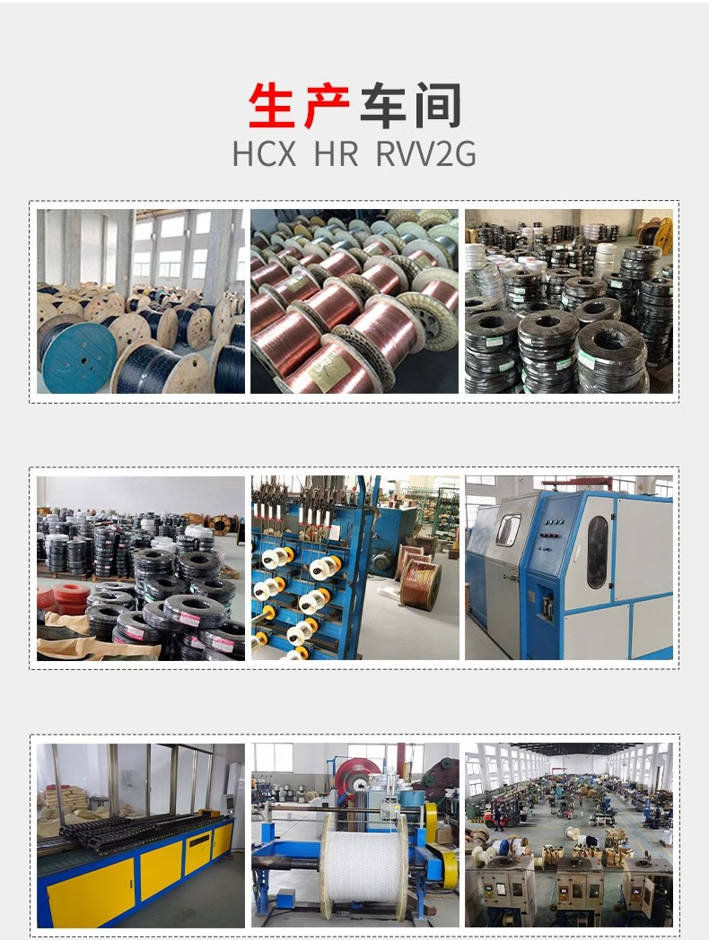 RVV1GRVV2G0.75 * 5C self bearing galvanized steel wire rope steel wire handle cable electric hoist