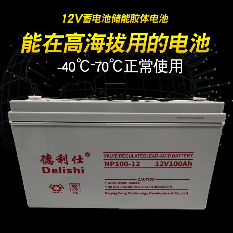 德利仕蓄电池NP100-12长寿命12V100AH机房UPS/EPS电源储能应急