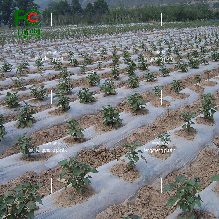 Punching holes, preventing weeds, weeding, moisturizing, agricultural planting, plastic film, orchard vegetables, plastic film, insulation film, greenhouse planting