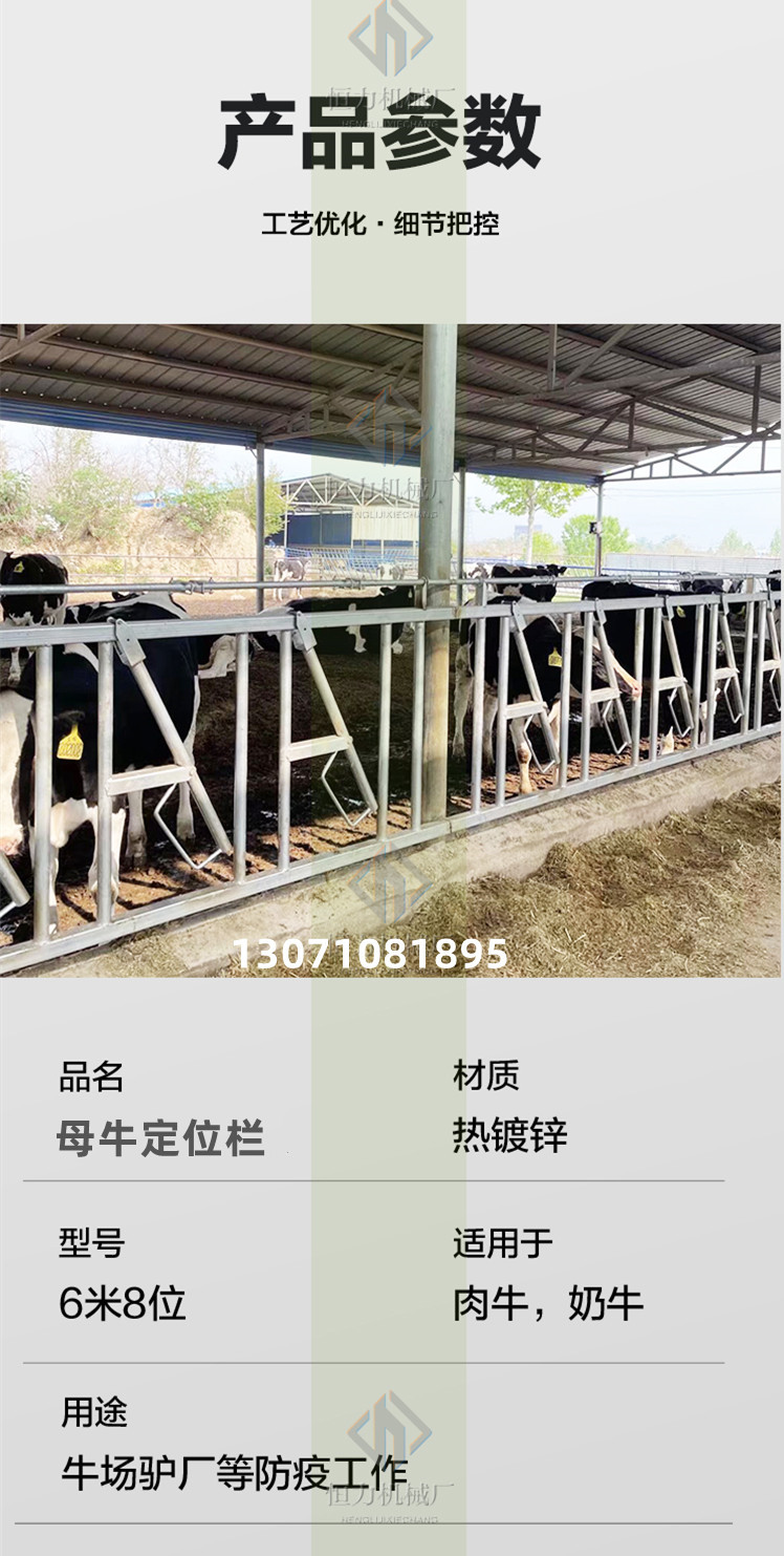 Hengli Mechanical Corrosion Resistant Hot Dip Galvanized Cowshed Inner Fence Cow Positioning Fence 750 Type