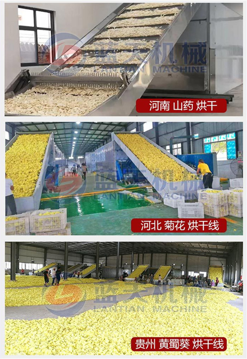 Snow Lotus Fruit Drying Machine Air Energy Chrysanthemum Potato Snow Lotus Potato Ground Ginseng Fruit Drying Room Large Snow Lotus Fruit Drying Equipment