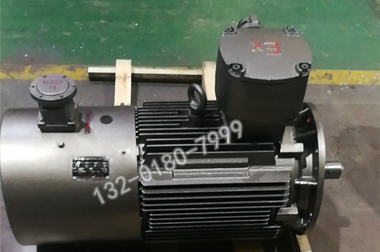 Sigma Flameproof Variable Frequency Speed Control Explosion proof Motor YBBP250M-2-55KW-B3-B5-380V/5-100HZ