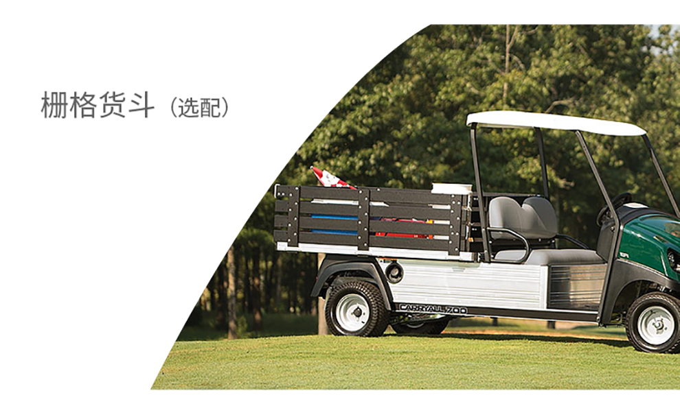 Carryall300 multifunctional golf cart Clubcar gardener car delivery cart custom cargo box