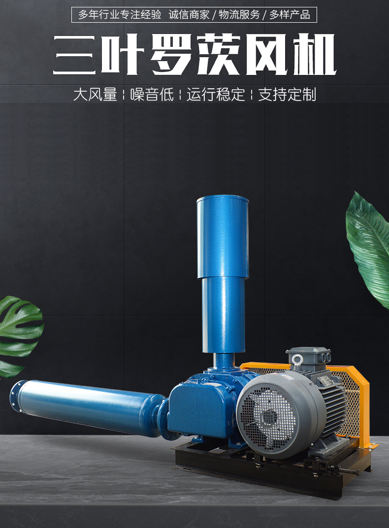 Three leaf Roots blower DASR-100 model sewage treatment aquaculture aeration and oxygenation equipment