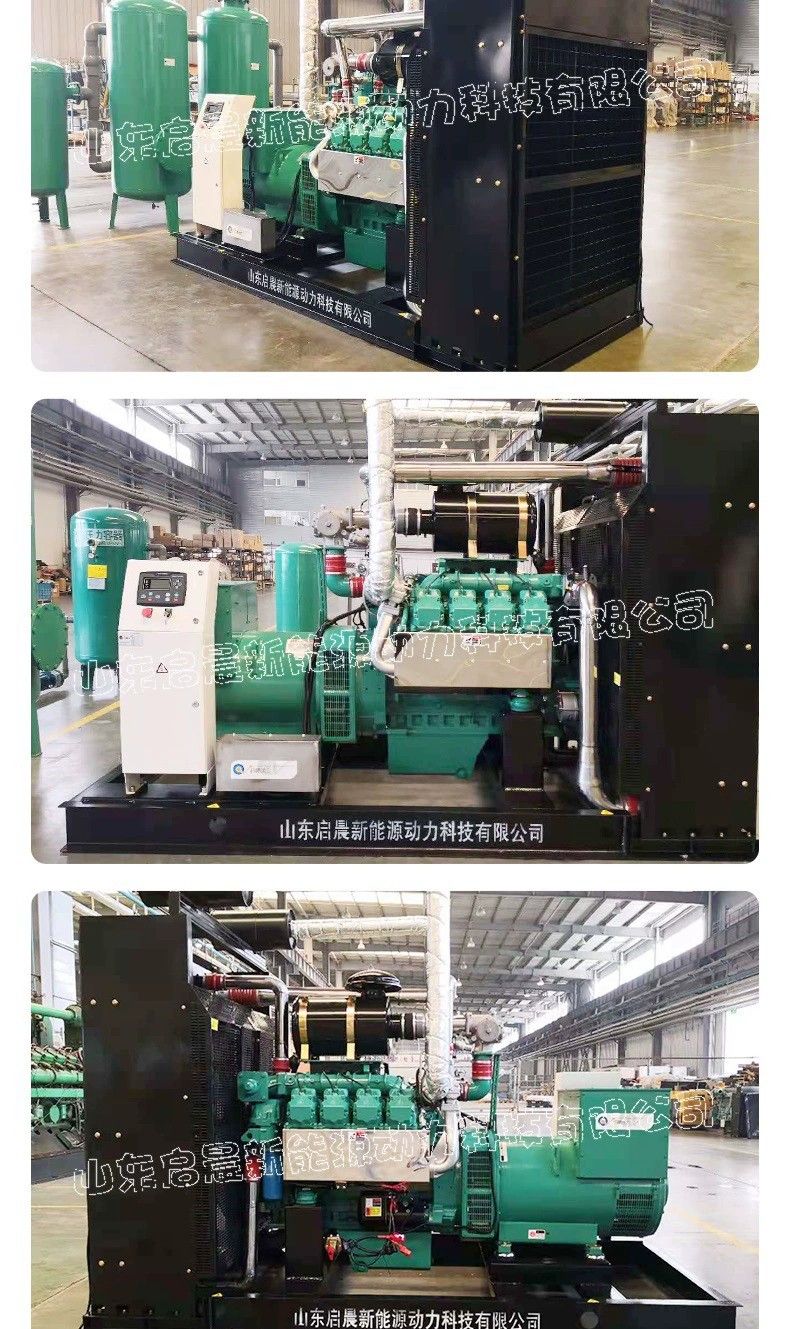 Oil Field 250kw Natural Gas Generator Set Petroleum Associated Gas Liquefied LPG and Other Gas Power Generation Equipment