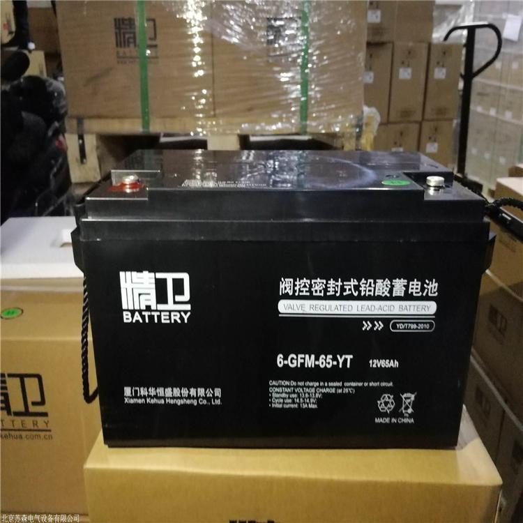 精卫蓄电池6-GFM-65-YT 12V65AH免维护铅酸UPS/EPS电源机房