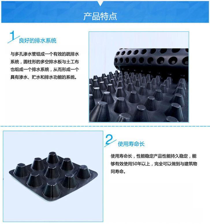 Polyethylene plastic drainage board, Dongwu 14mm garage roof drainage board, root puncture and aging resistance