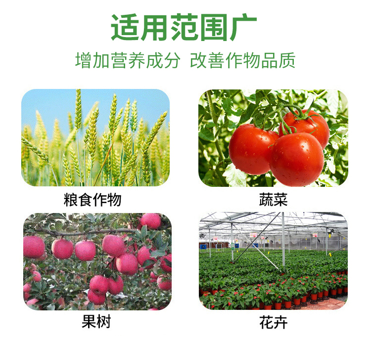 Twelve Element Liquid Clear Liquid Fertilizer Rooting Fertilizer Promotes Root Growth in Polyphenol Agriculture