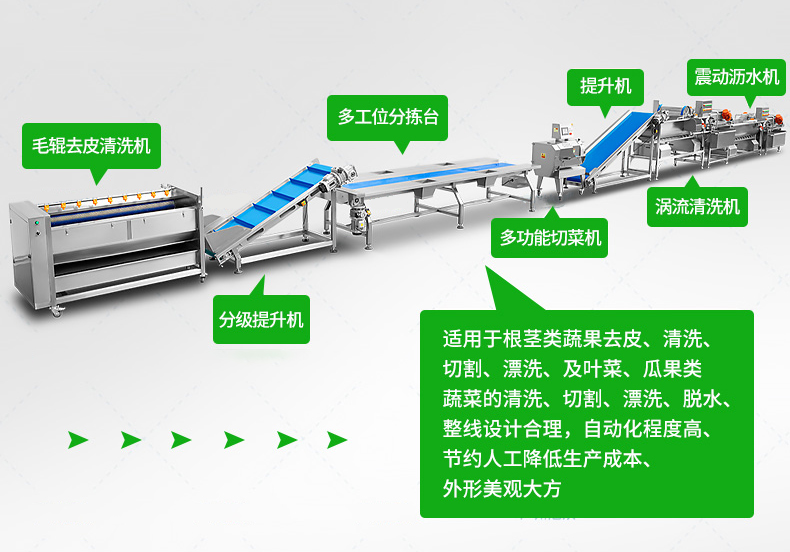 Central Kitchen Prefabricated Vegetable Processing Line Leaf Vegetable, Hair Vegetable Cleaning Line Vegetable, Fruit, and Clean Vegetable Production Line Plan