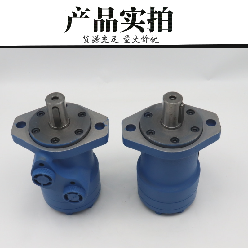 Industrial cycloidal motor HMP50/HMP63/HMP80/HMP100 hydraulic motor