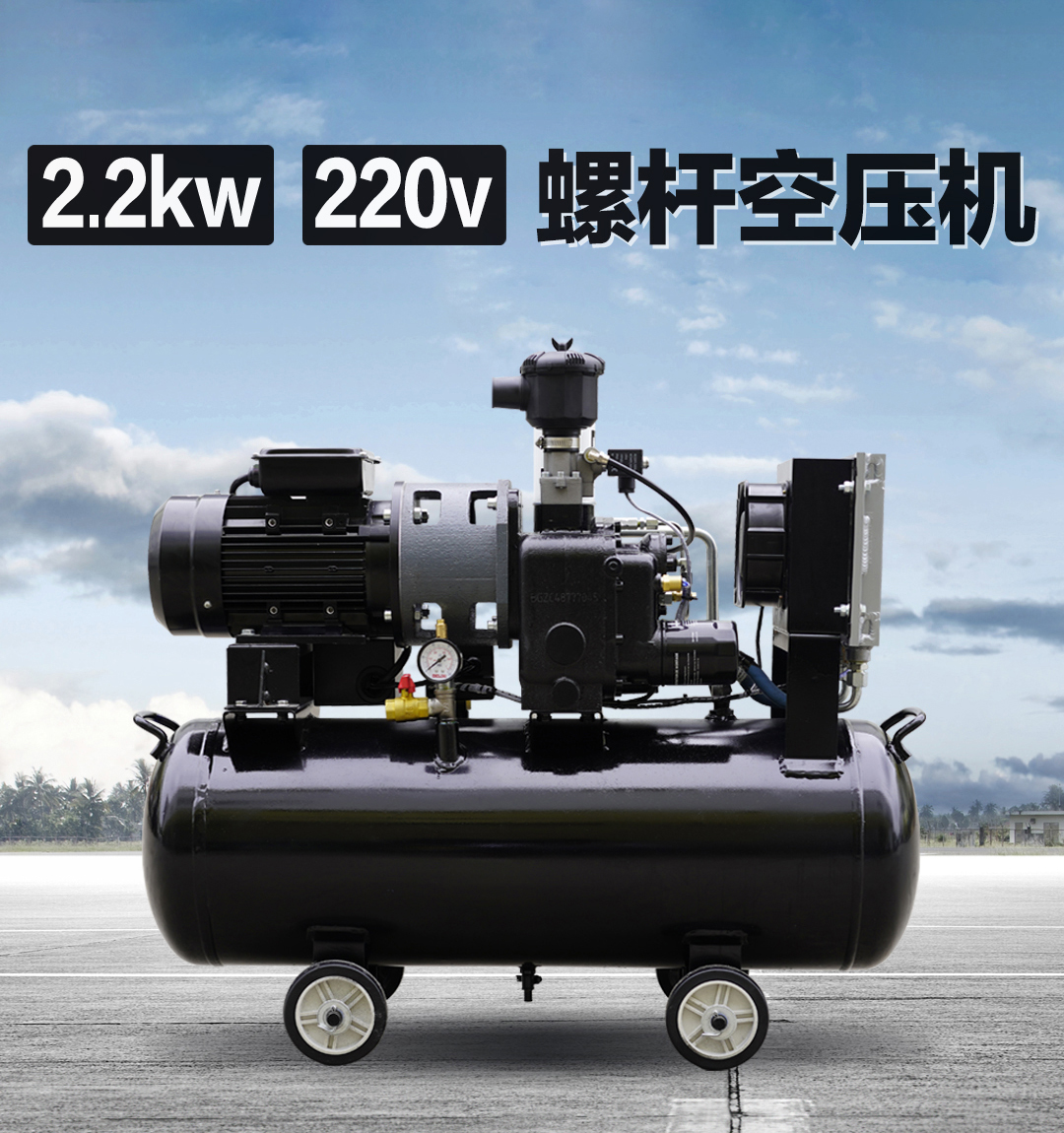 Yongbang WMS-2.2 Small Air Compressor Household 220v Integrated Canister Factory Auto Repair Factory Special