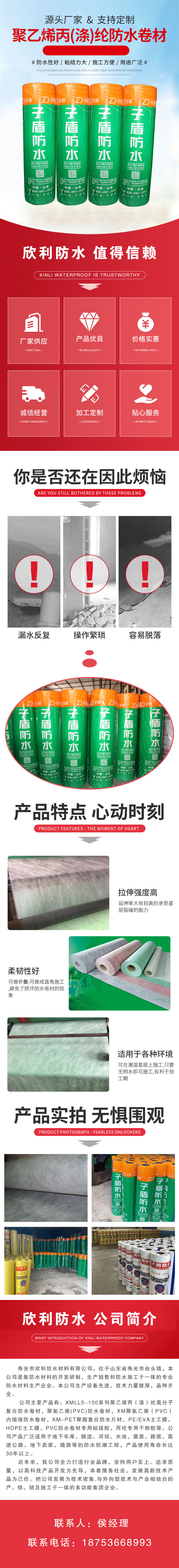 Polypropylene waterproof roll material for basement with polymer internal reinforcement and root puncture resistance