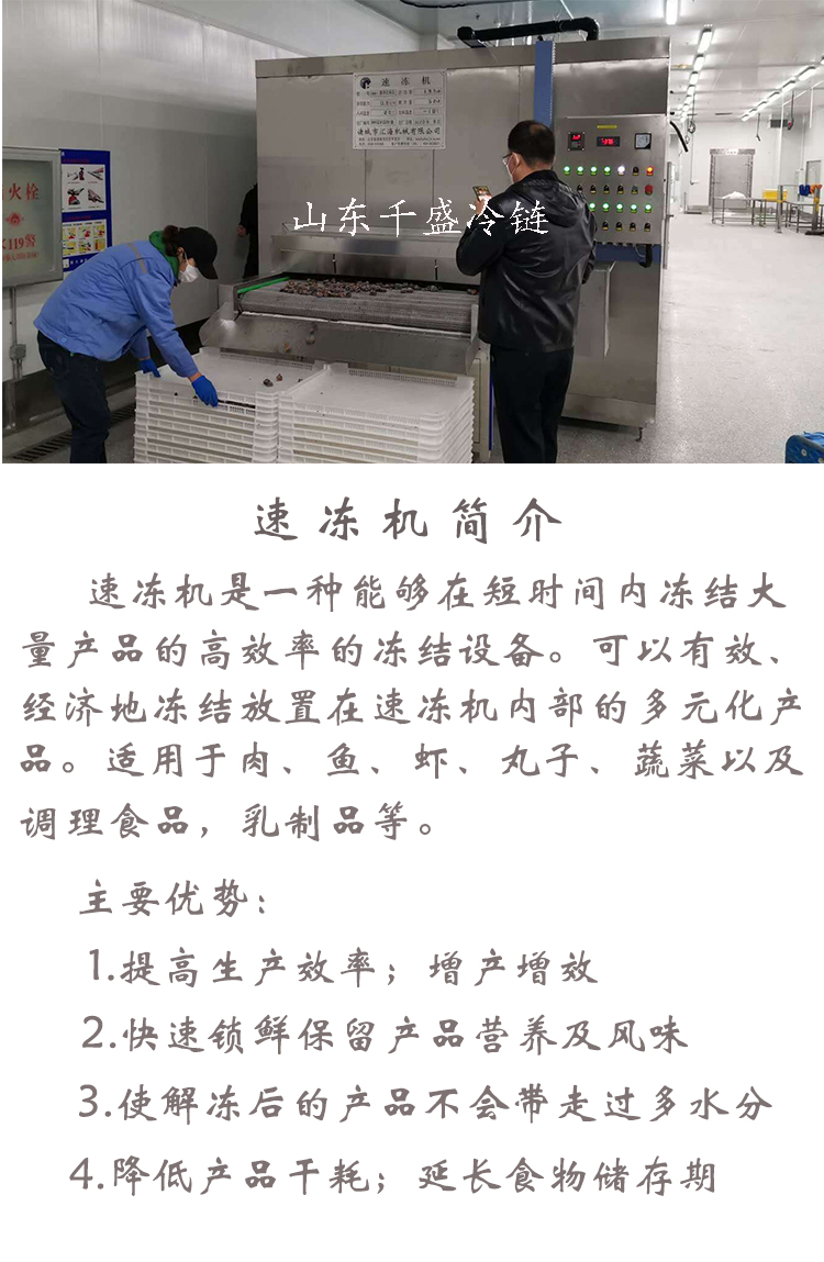 Instant Sea Cucumber Tunnel Type Quick Freezer Multifunctional Single Freezer Winged Fruit and Vegetable Low Temperature Quick Freezing Equipment