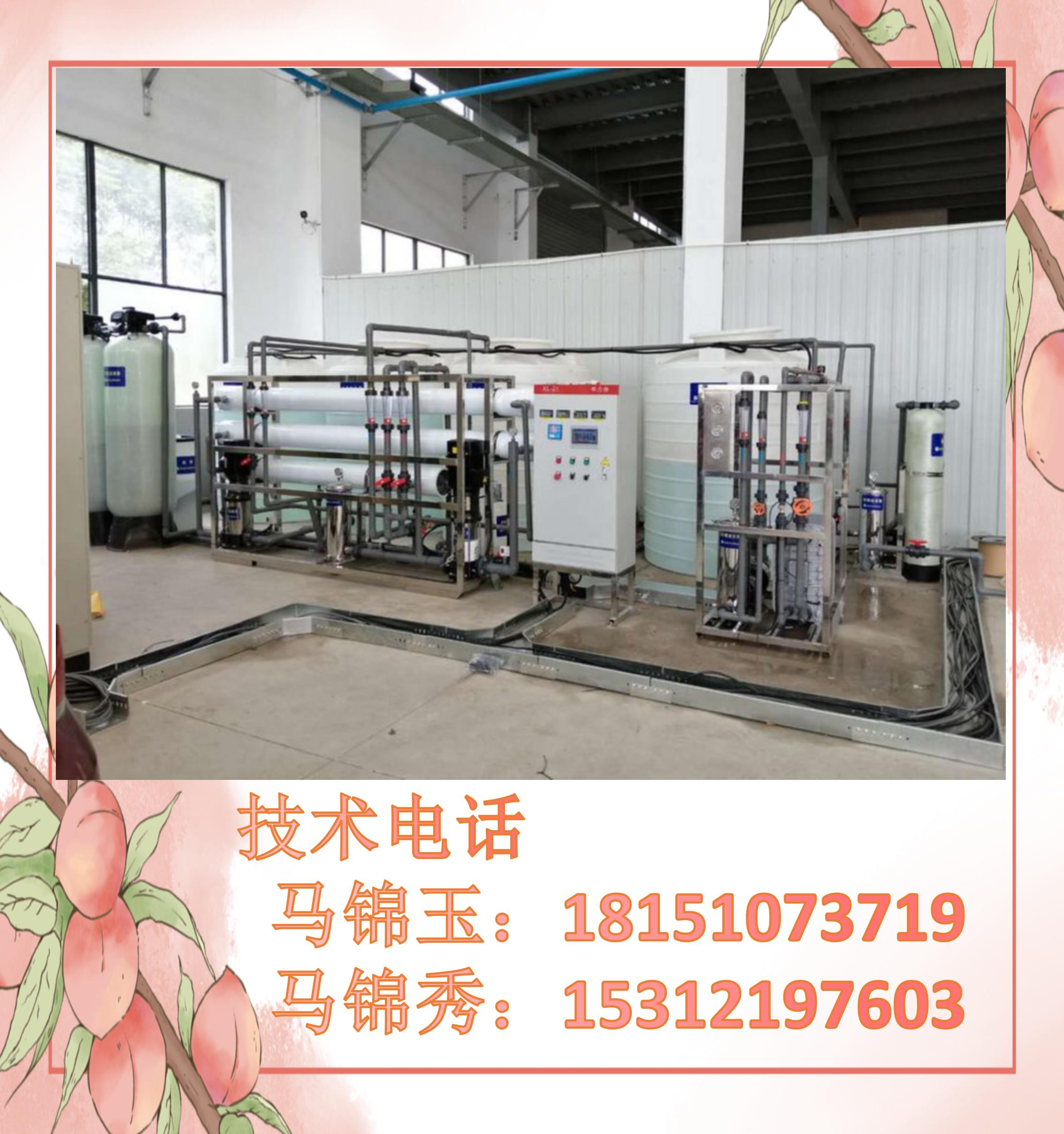 3T/h reverse osmosis integrated Ultrapure water machine Industrial deionized water full-automatic intelligent equipment