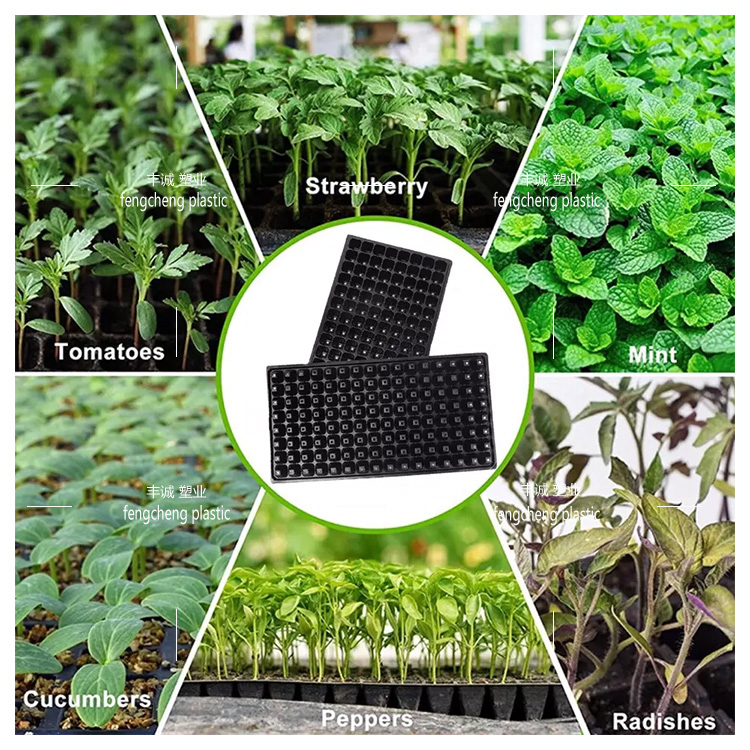 Brand new black seedling tray for flowers, succulent vegetables, melons, and fruits