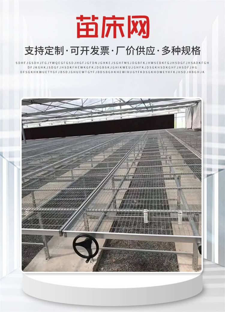 Lin Tai Seedling Bed Net Manufacturer's Indoor Seedling Bed Flower Raising Wire Mesh LT09 Fire Galvanized Mesh for Greenhouse Flower Raising