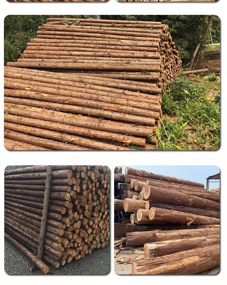 Chinese fir pile manufacturer, river slope protection, flood control pile driving, wooden garden greening support pole specification, Quanhongyuan Building Materials